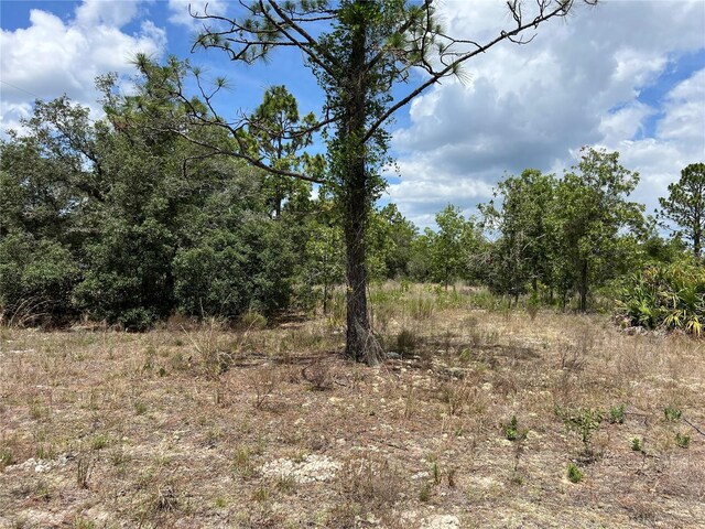 3309/3323 W Hampshire Blvd, Citrus Springs, FL 34433 - photo 6