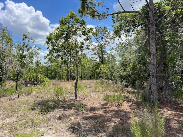 3309/3323 W Hampshire Blvd, Citrus Springs, FL 34433 - photo 7