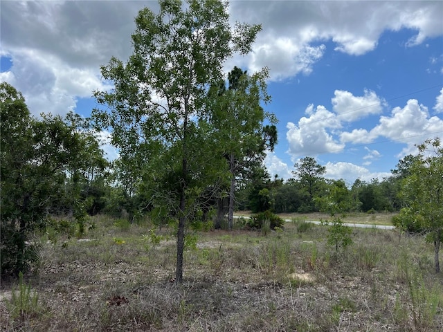 3309/3323 W Hampshire Blvd, Citrus Springs, FL 34433 - photo 8