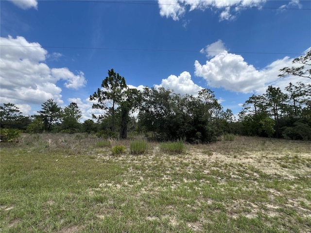 3309/3323 W Hampshire Blvd, Citrus Springs, FL 34433 - photo 9