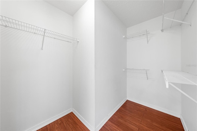 3203 Herons Point Cir, Kissimmee, FL 34741 - spacious closet with wood finished floors