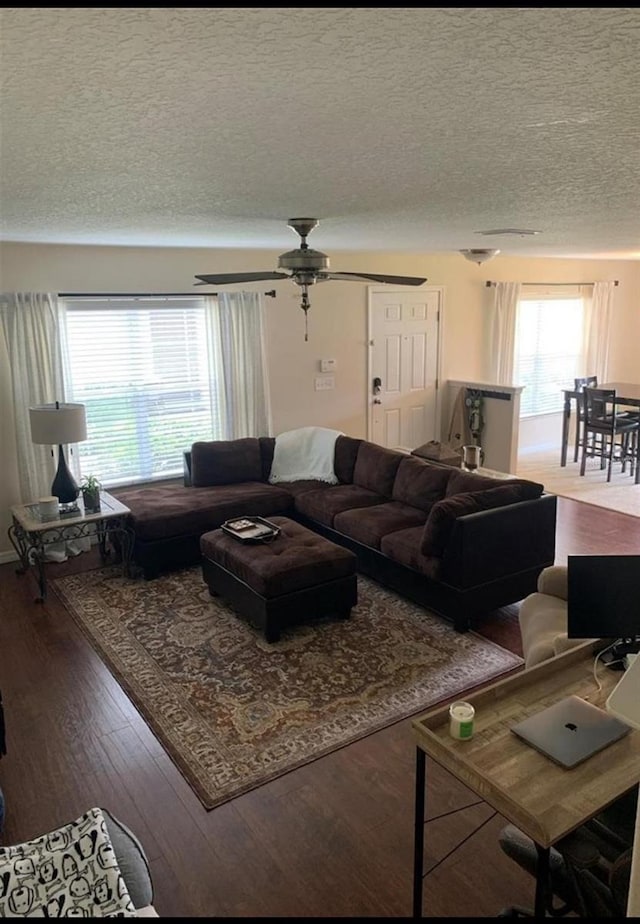 9871 Trumpet Vine Loop, Trinity, FL 34655 - living area featuring wood finished floors, a textured ceiling, and ceiling fan