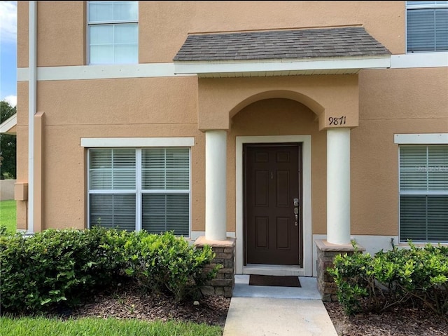 9871 Trumpet Vine Loop, Trinity, FL 34655 - doorway to property with stucco siding and a shingled roof