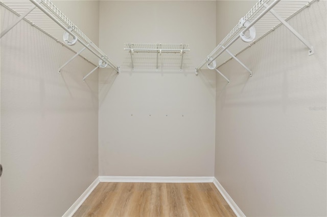 walk in closet with light wood-type flooring