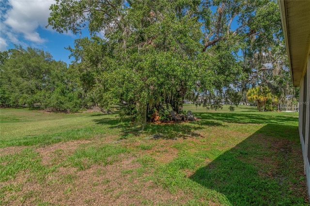 view of grassy yard