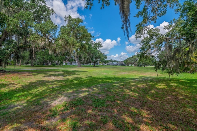view of grassy yard