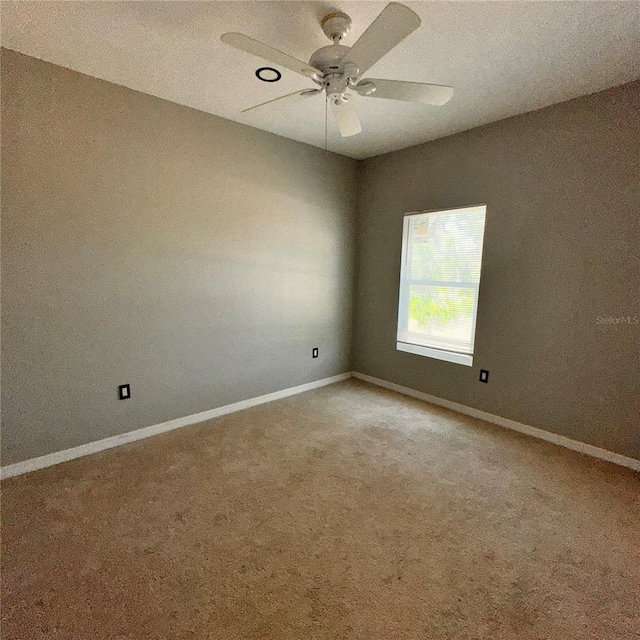 601 Highlands Lake Dr, Lake Placid, FL 33852 - photo 42