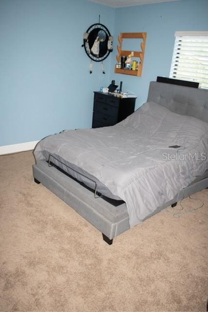 18805 Nettleton St, Orlando, FL 32833 - view of carpeted bedroom