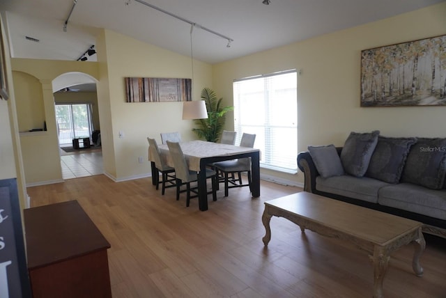 10308 Soaring Eagle Dr, Riverview, FL 33578 - living area featuring rail lighting, arched walkways, lofted ceiling, wood finished floors, and baseboards