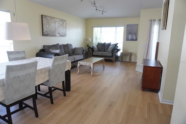 10308 Soaring Eagle Dr, Riverview, FL 33578 - dining room featuring light wood-style floors, track lighting, and baseboards