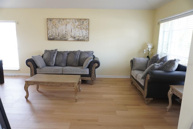 10308 Soaring Eagle Dr, Riverview, FL 33578 - living area with plenty of natural light, light wood-style floors, and baseboards