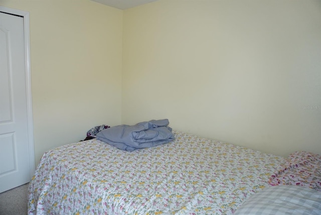 10308 Soaring Eagle Dr, Riverview, FL 33578 - bedroom with carpet