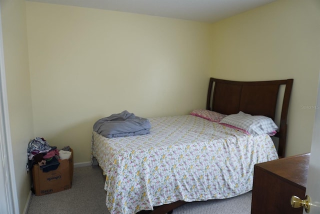 10308 Soaring Eagle Dr, Riverview, FL 33578 - carpeted bedroom with baseboards