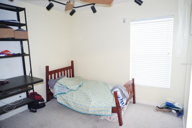 10308 Soaring Eagle Dr, Riverview, FL 33578 - bedroom featuring carpet flooring, multiple windows, and baseboards