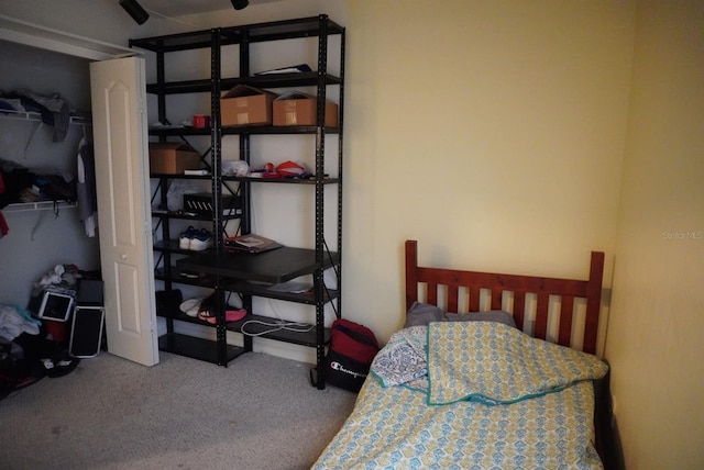 10308 Soaring Eagle Dr, Riverview, FL 33578 - view of carpeted bedroom