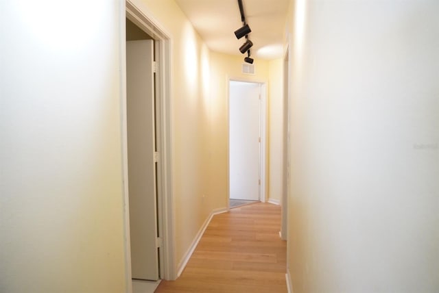 10308 Soaring Eagle Dr, Riverview, FL 33578 - hall with light wood-type flooring and baseboards