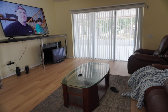 10308 Soaring Eagle Dr, Riverview, FL 33578 - living area featuring wood finished floors and baseboards
