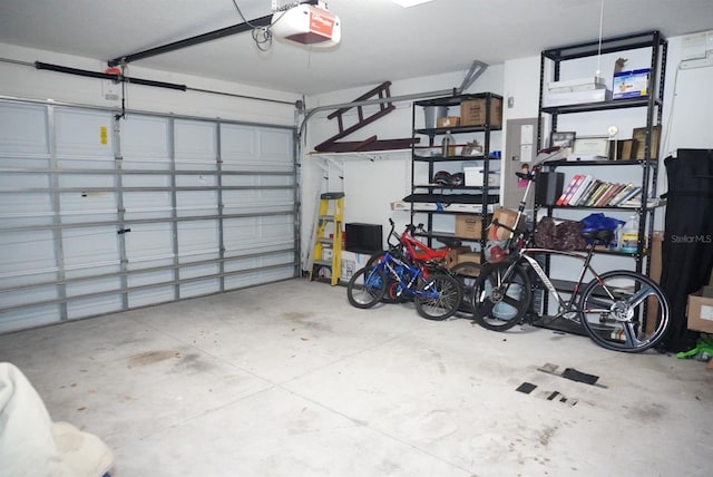 10308 Soaring Eagle Dr, Riverview, FL 33578 - garage with a garage door opener