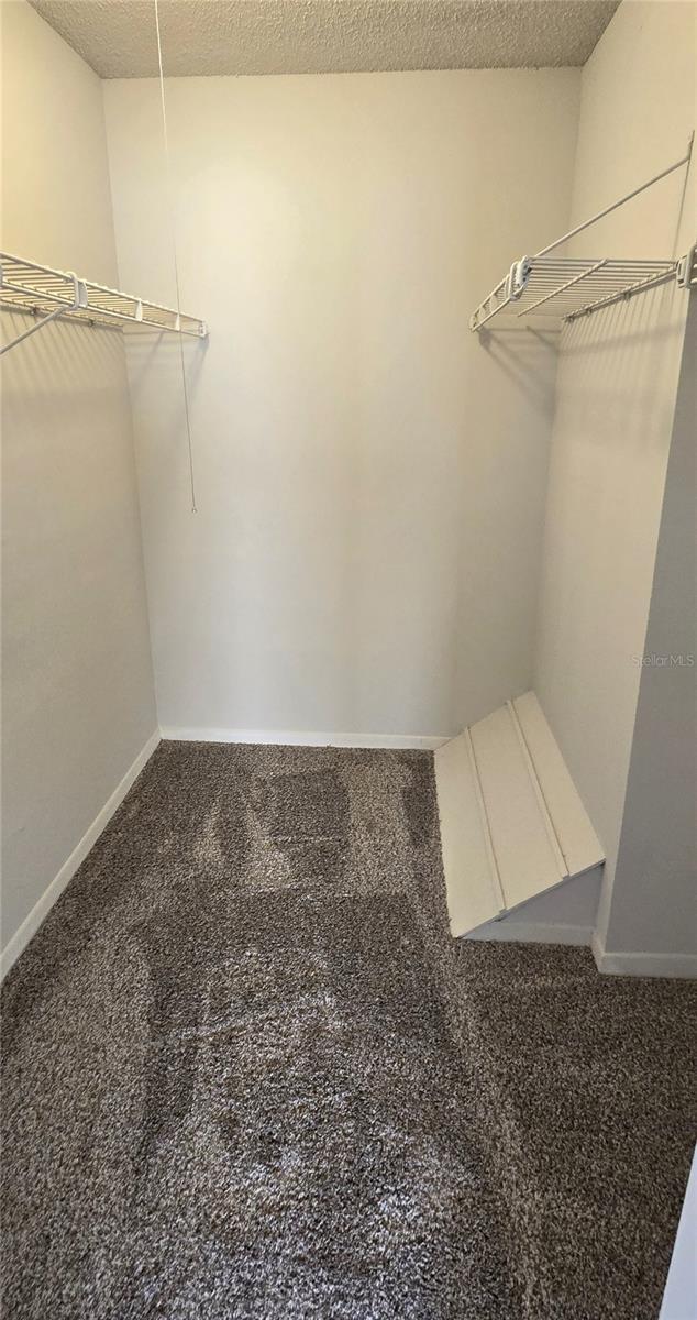 1024 Spring Meadow Dr, Kissimmee, FL 34741 - walk in closet with carpet flooring