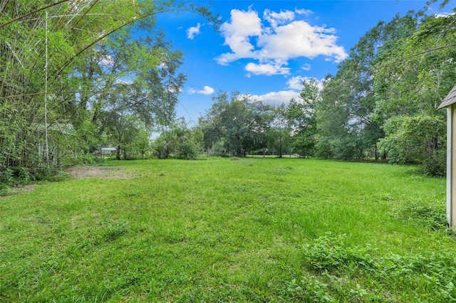 429 Diamond Acres Rd, Davenport, FL 33837 - photo 8