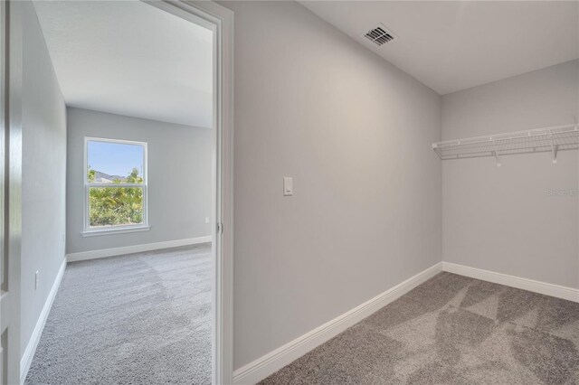 502 Viceroy Ct, Kissimmee, FL 34758 - walk in closet featuring carpet