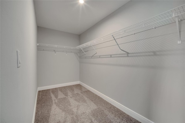 502 Viceroy Ct, Kissimmee, FL 34758 - spacious closet with carpet flooring