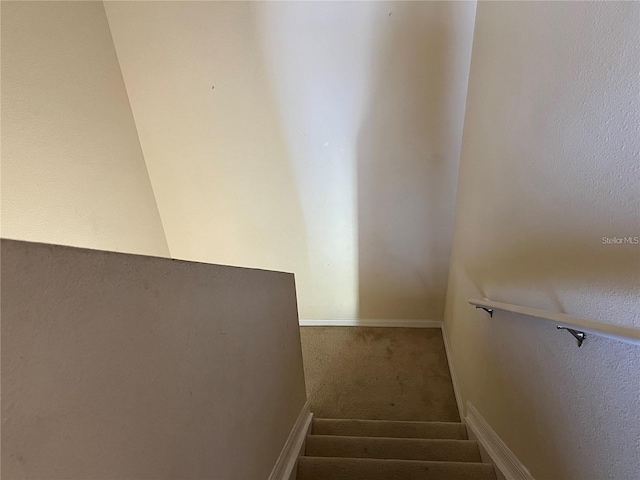 3003 Cobham Rd, Kissimmee, FL 34758 - stairs with carpet floors
