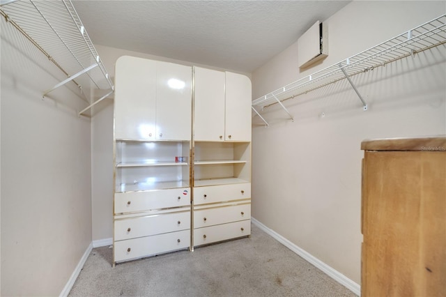 3211 Countryside View Dr, Saint Cloud, FL 34772 - spacious closet with light colored carpet