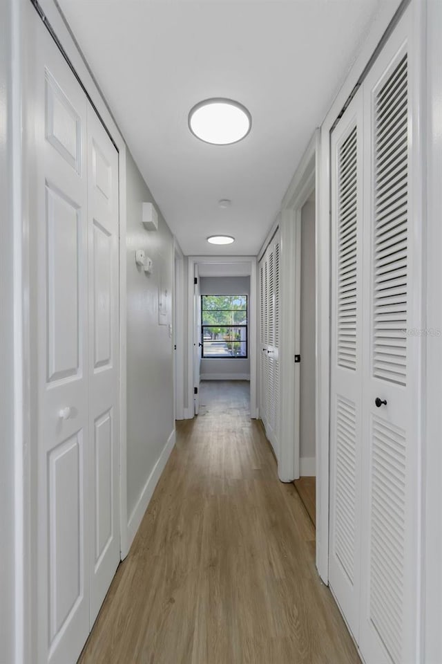 5151 Puritan Cir Unit 1022, Tampa, FL 33617 - hall with baseboards and light wood-type flooring