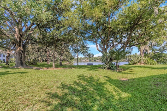 5151 Puritan Cir Unit 1022, Tampa, FL 33617 - view of green lawn with a water view