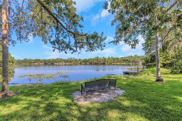 5151 Puritan Cir Unit 1022, Tampa, FL 33617 - dock area with a water view and a lawn