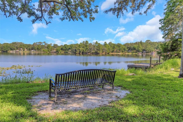 5151 Puritan Cir Unit 1022, Tampa, FL 33617 - dock area with a water view and a forest view