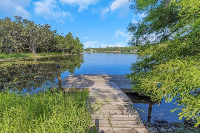 5151 Puritan Cir Unit 1022, Tampa, FL 33617 - dock area featuring a water view