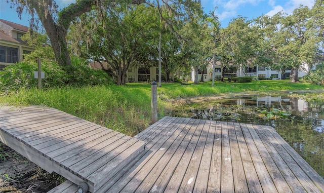5151 Puritan Cir Unit 1022, Tampa, FL 33617 - view of dock area