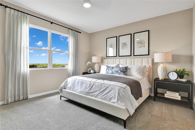 9253 Players Dr, Weeki Wachee, FL 34613 - carpeted bedroom with baseboards