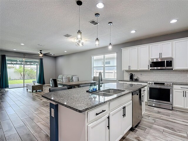 140 Trinity Ridge Cir, Davenport, FL 33897 - kitchen featuring appliances with stainless steel finishes, a sink, healthy amount of natural light, a ceiling fan, and a textured ceiling