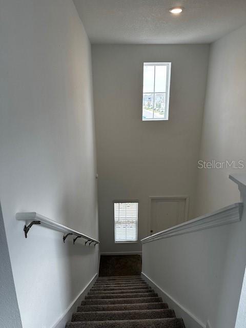 stairway with plenty of natural light, carpet floors, and baseboards