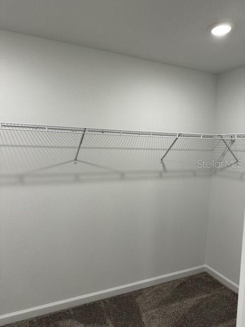 walk in closet featuring dark carpet