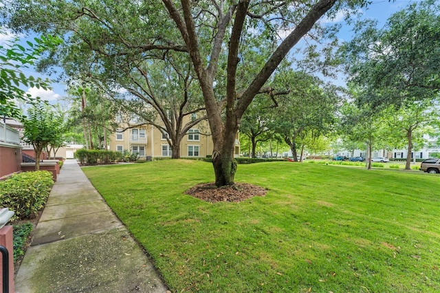 438 Water St Unit 438, Celebration, FL 34747 - view of green lawn