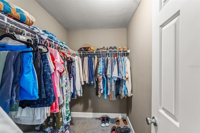 438 Water St Unit 438, Celebration, FL 34747 - walk in closet featuring carpet