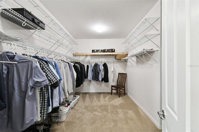 1272 Bonita Canyon Dr, Kissimmee, FL 34759 - spacious closet with carpet
