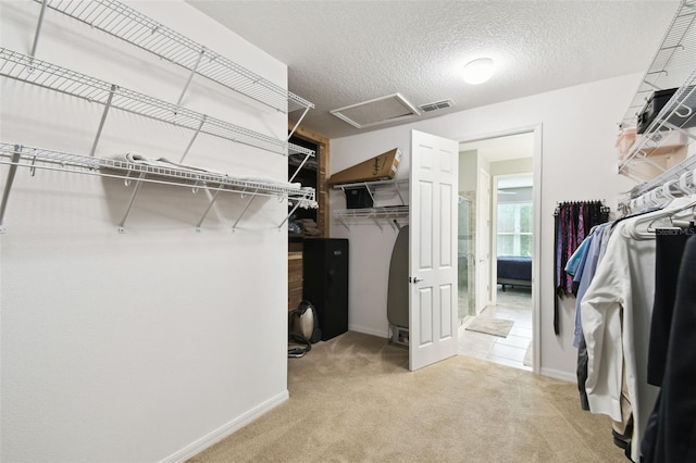 1272 Bonita Canyon Dr, Kissimmee, FL 34759 - walk in closet featuring attic access and carpet