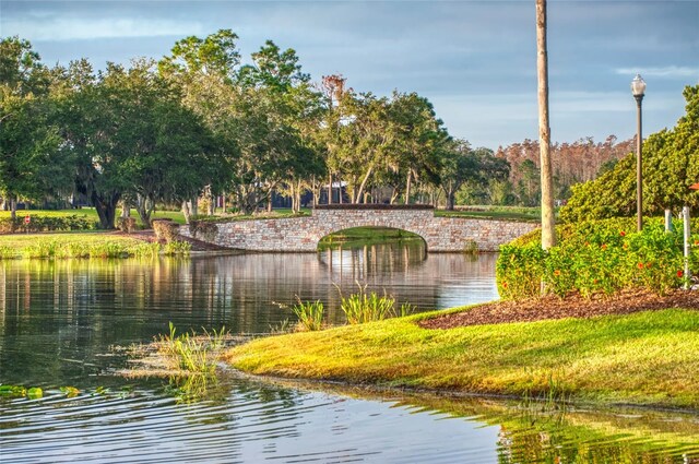1272 Bonita Canyon Dr, Kissimmee, FL 34759 - water view