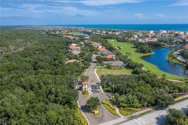 7 Spanish Moss Ct, Palm Coast, FL 32137 - aerial view of a large body of water, a forest, and a golf club