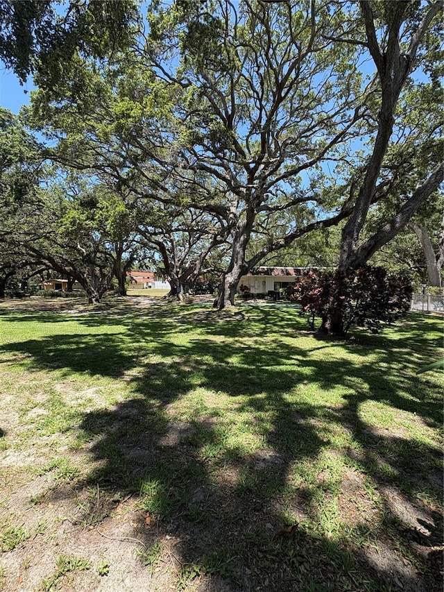 870 Virginia St Unit 108, Dunedin, FL 34698 - view of grassy yard