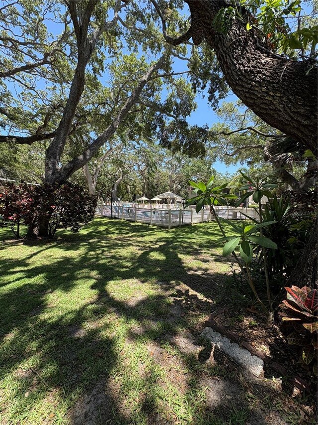870 Virginia St Unit 108, Dunedin, FL 34698 - view of yard