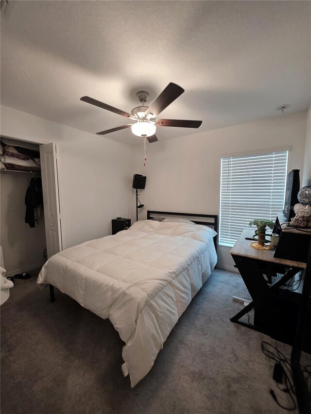 2034 Old Pasture Ln, Lakeland, FL 33801 - carpeted bedroom featuring a ceiling fan and a closet