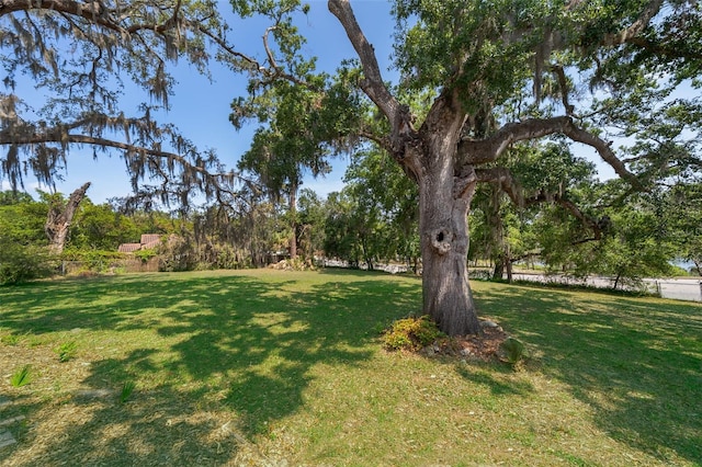 120 W Minnehaha Ave, Clermont, FL 34711 - view of green lawn