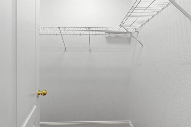 7013 Beargrass Rd, Harmony, FL 34773 - view of walk in closet