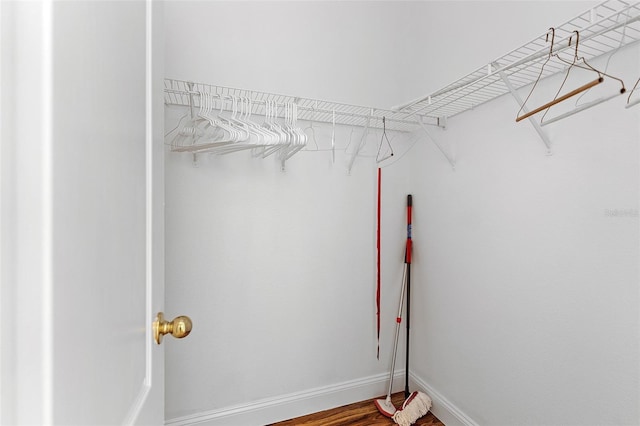 7013 Beargrass Rd, Harmony, FL 34773 - view of walk in closet